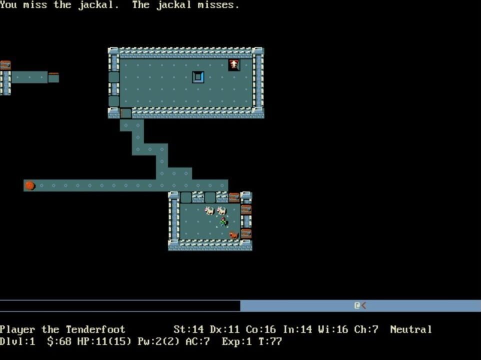 NetHack
