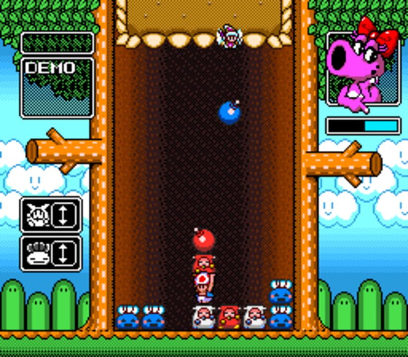 Wario’s Woods