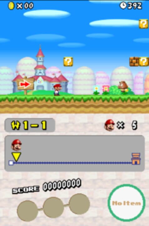 New Super Mario Bros. Wii DS