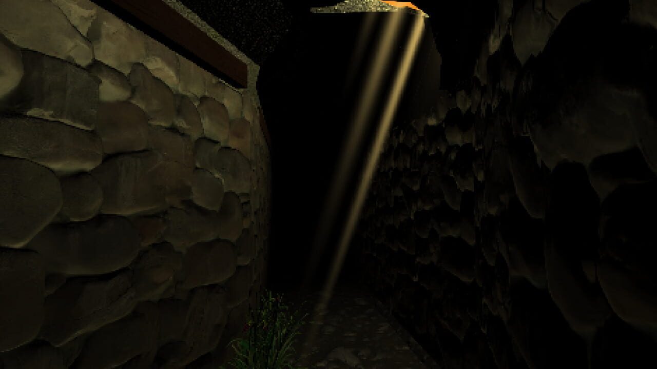 Schizophrenic Rooms