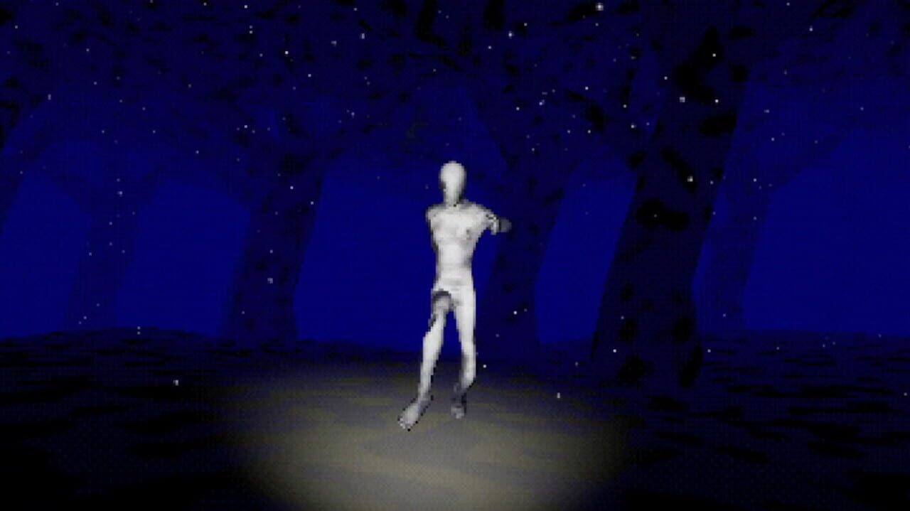 Deep in the Snowy Night