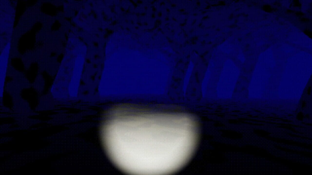 Deep in the Snowy Night