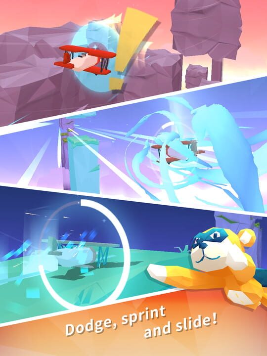 Sky Surfing