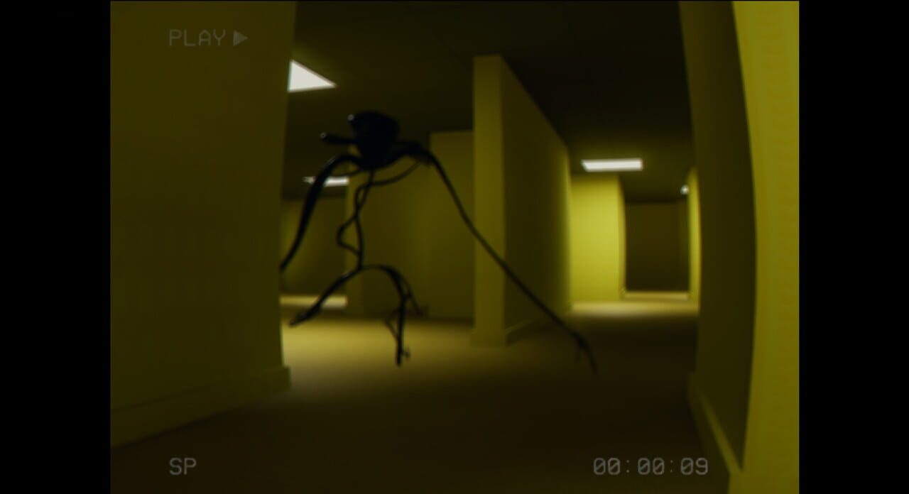 The Backrooms Experiment