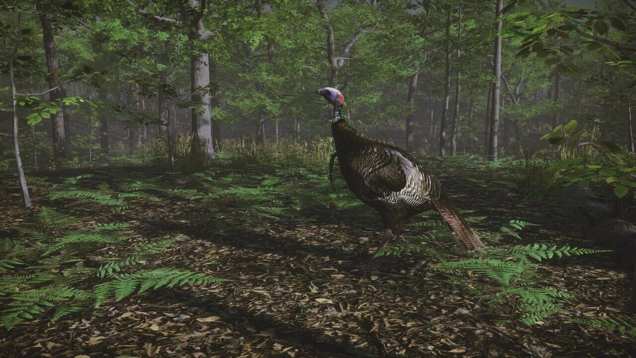Pro Turkey Hunting