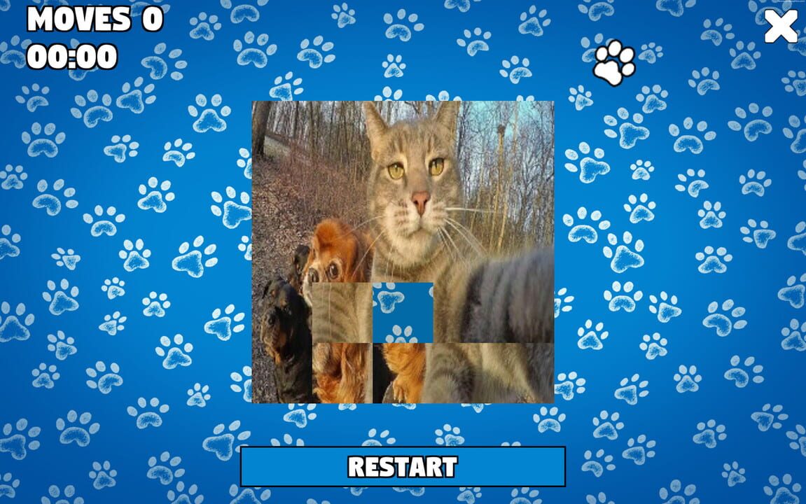 CatDog Puzzle