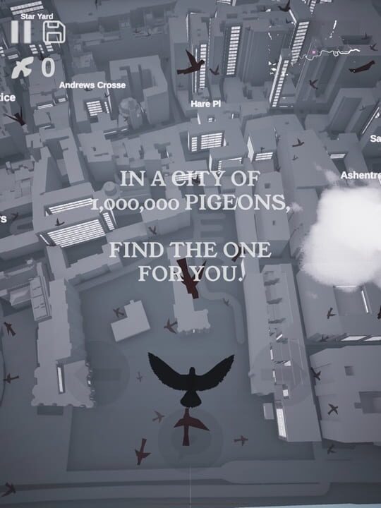 Pigeon: A Love Story