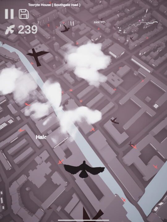 Pigeon: A Love Story