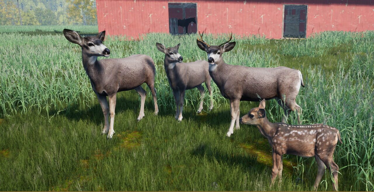 Wilderness Survival: The Conservationist