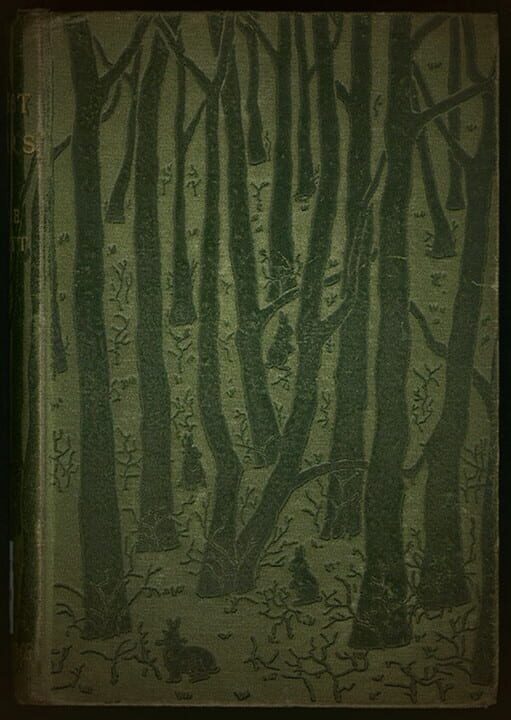 The Thief, the Witch, the Toad, and the Mushroom.