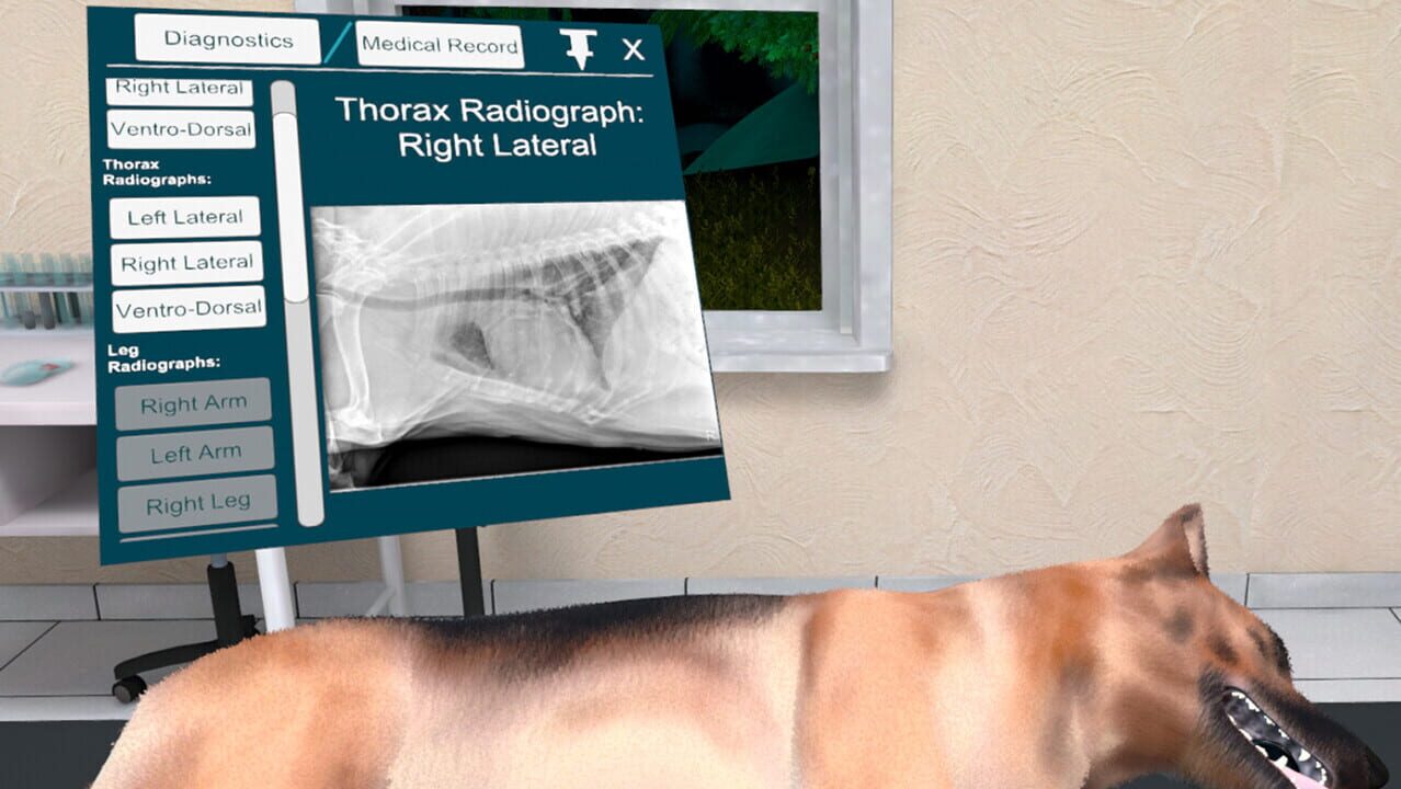 VetVR: Veterinary Simulator