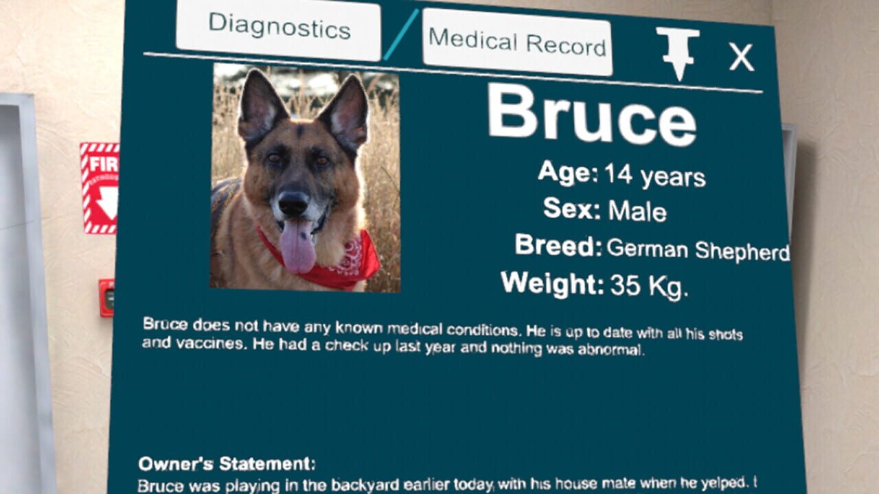 VetVR: Veterinary Simulator