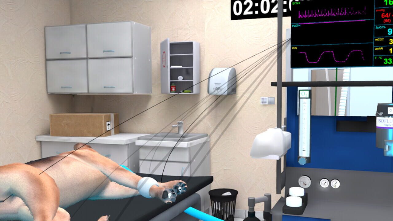 VetVR: Veterinary Simulator