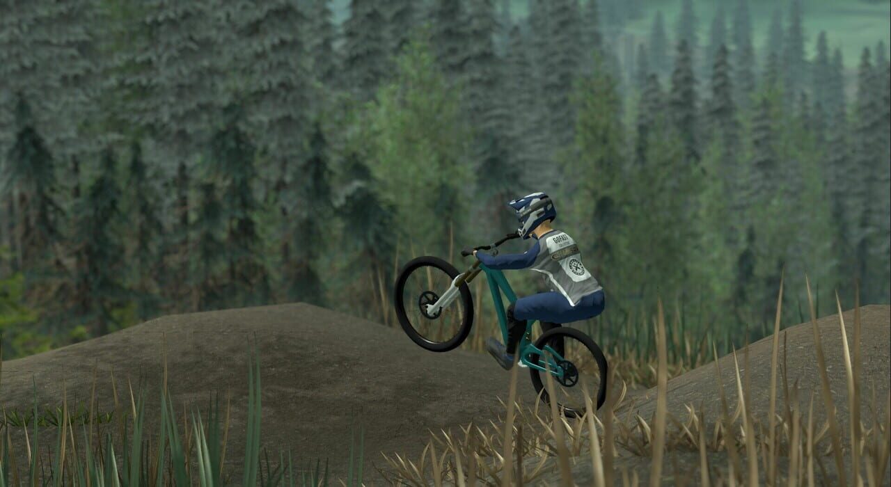 Downhill Pro Racer