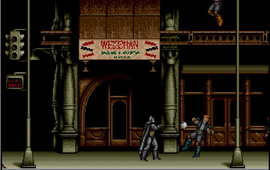 Batman: The Video Game