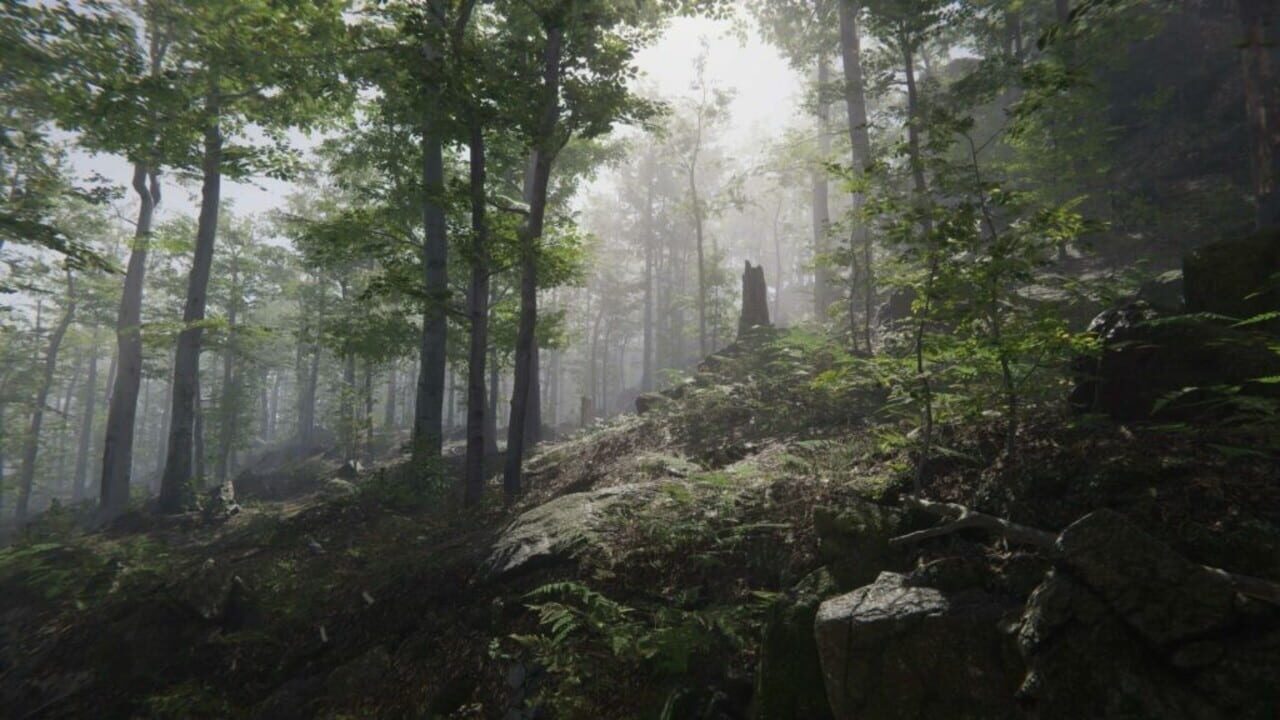 Mushroom Collector Simulator