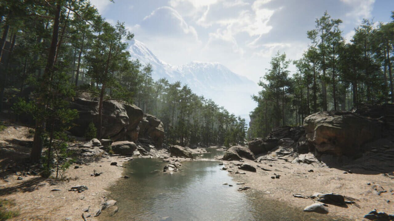 Mushroom Collector Simulator