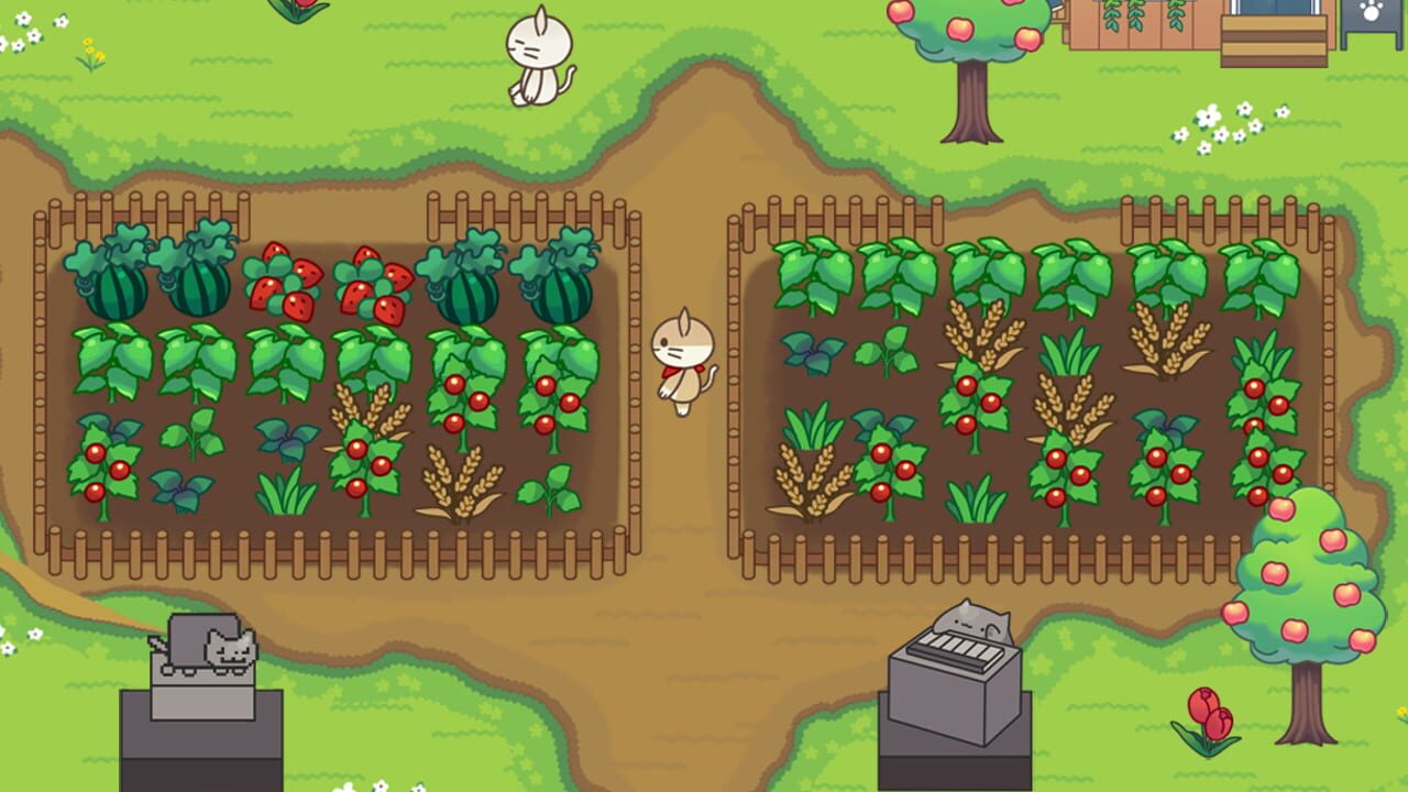 Cat Forest: Healing Camp