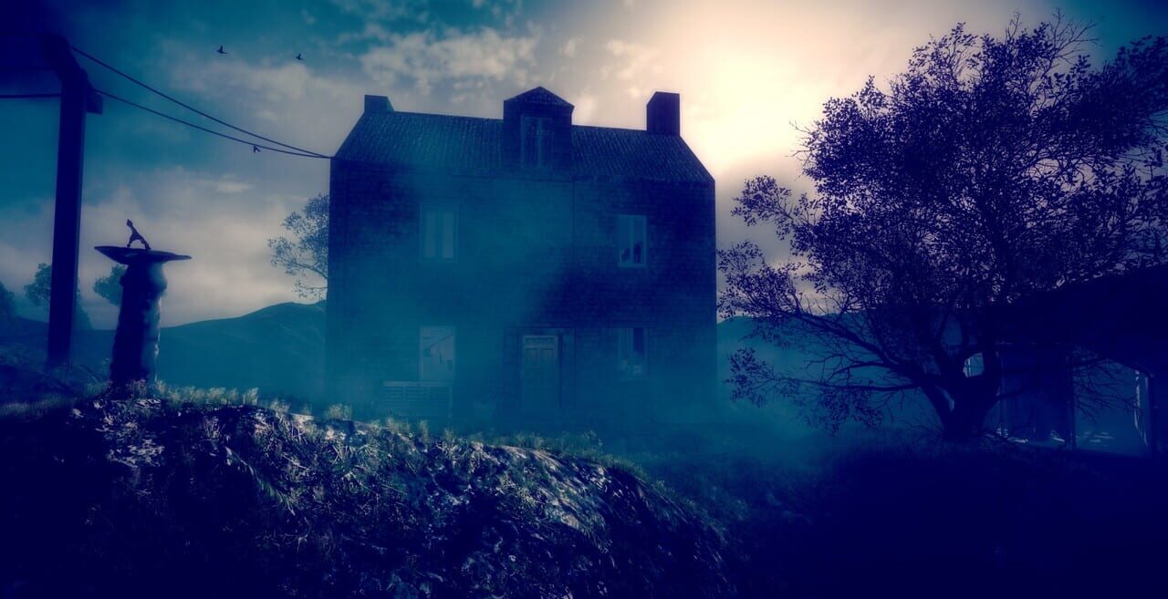 Wallpaper