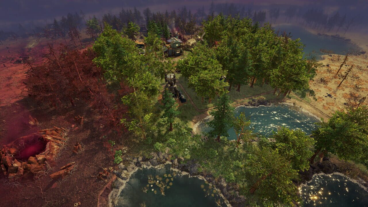 Surviving the Aftermath: Rebirth