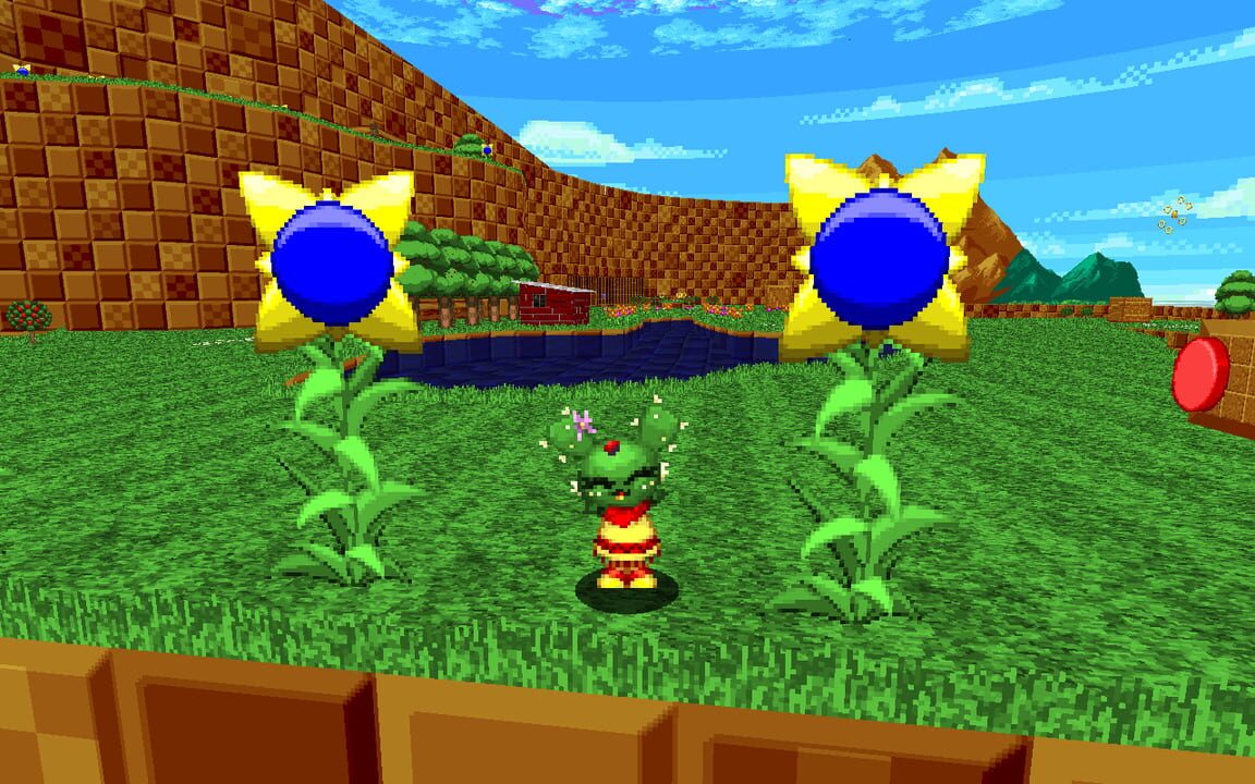 Sonic Robo Blast 2: Cacee “Kiwi” Cactus