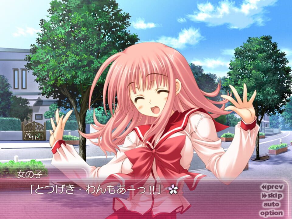 ToHeart2: AnotherDays