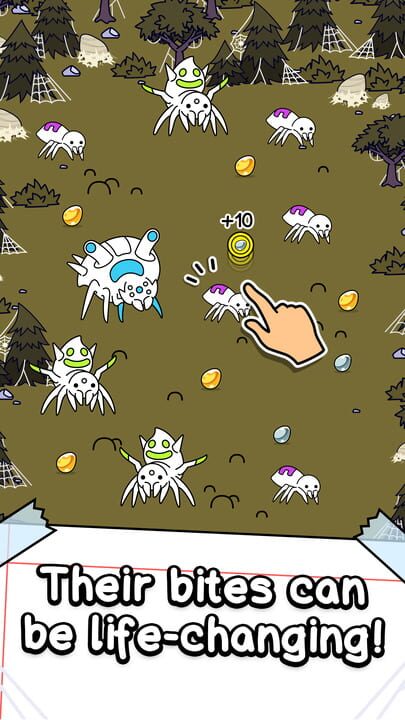 Spider Evolution