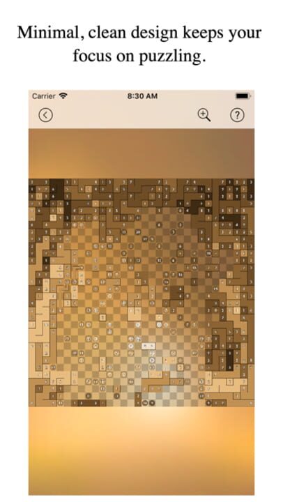 Pixel Puzzles