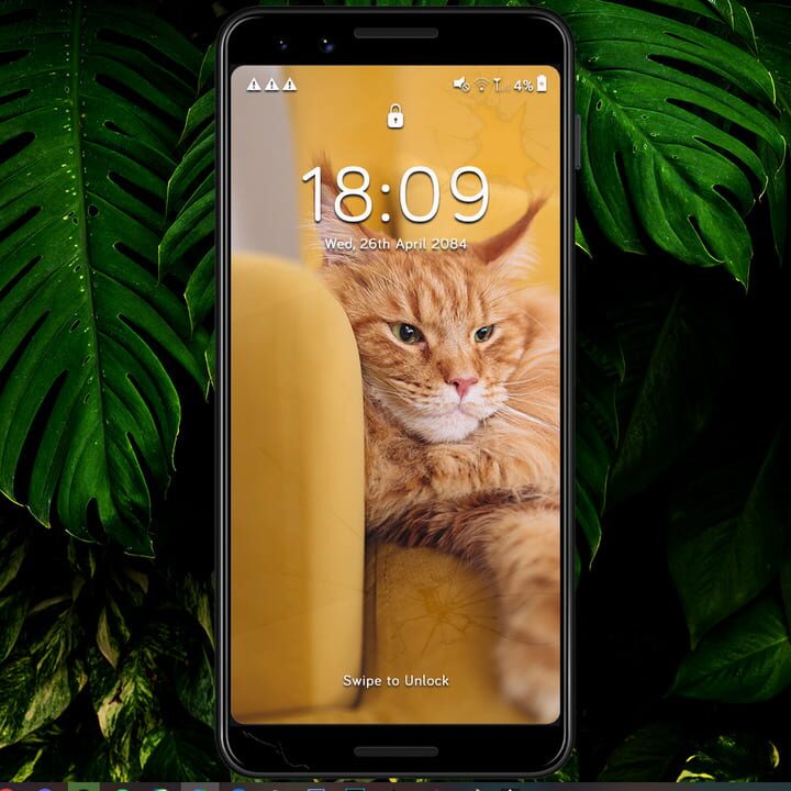 A Phone Found in Tall Grass