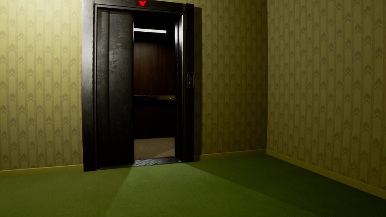 Backrooms Project: The Lost File