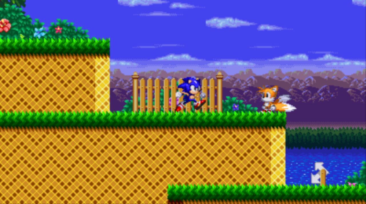 Sonic: Project Survival