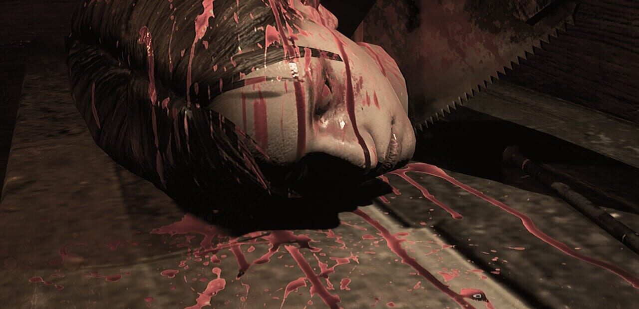 A Turtle In A Hare-Machine