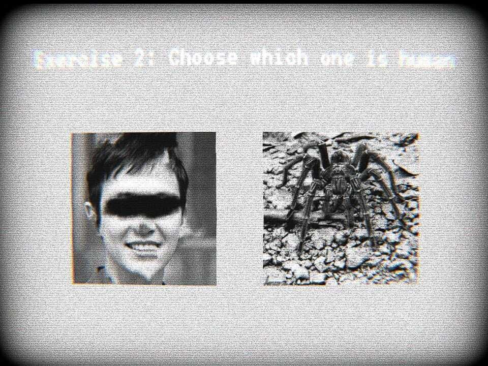 Recognition Test 23