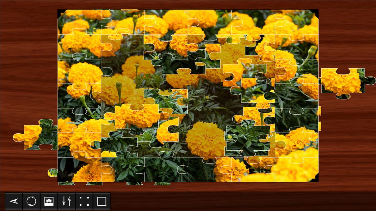 Jigsaw Puzzle World: Plants 2