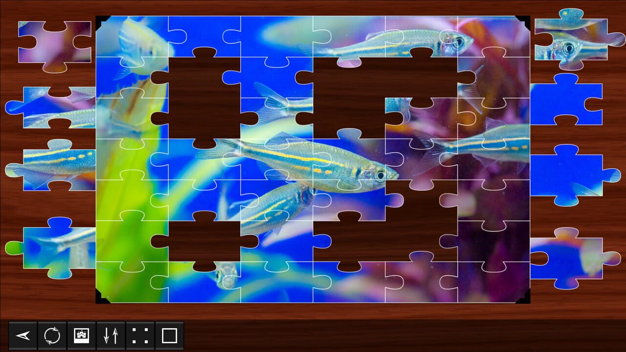 Jigsaw Puzzle World: Fish