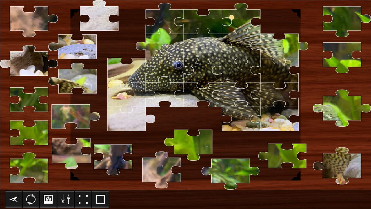 Jigsaw Puzzle World: Fish