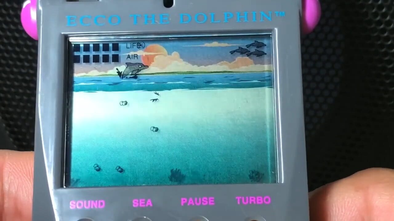 Ecco the Dolphin