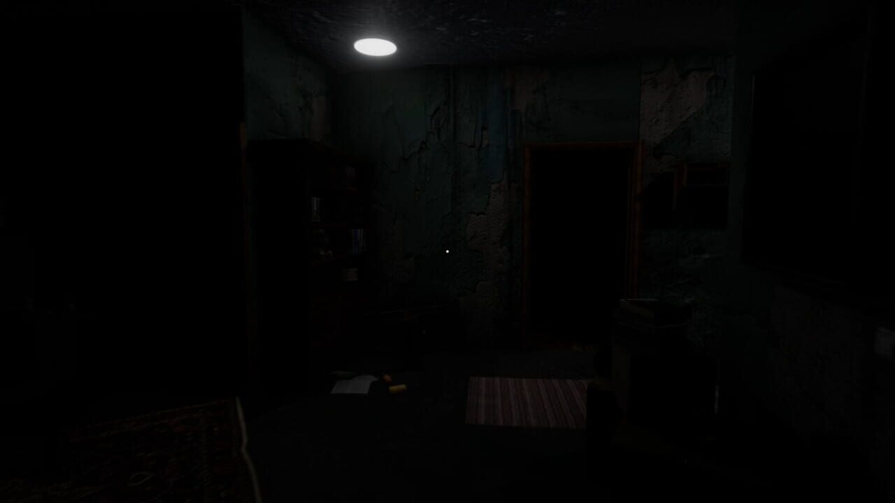 Unknown Memoirs: The Rental