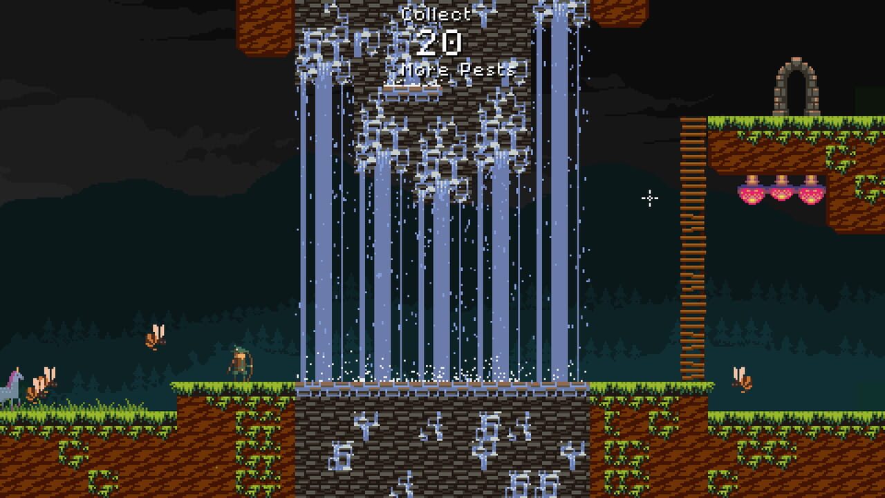 Four Chambers of the Human Heart