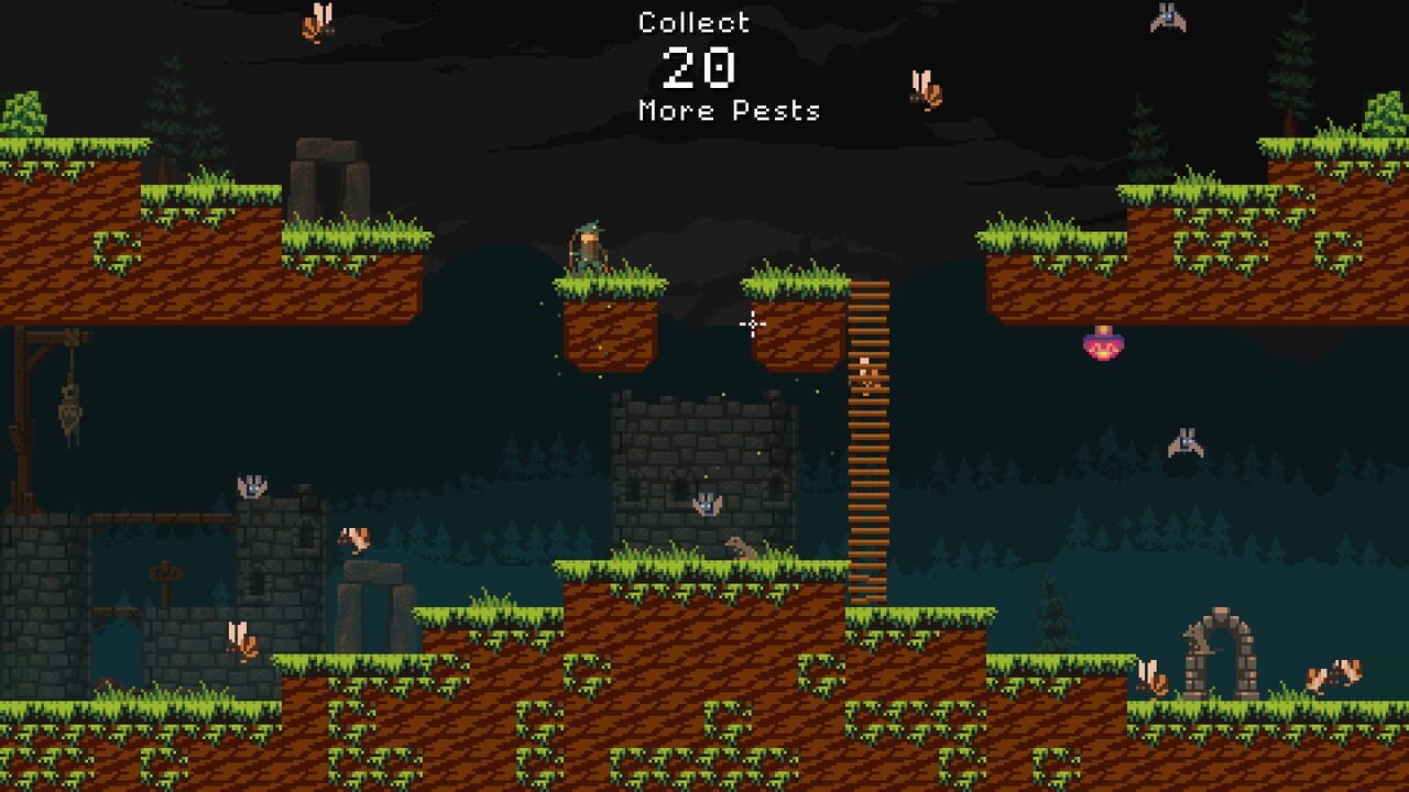 Four Chambers of the Human Heart