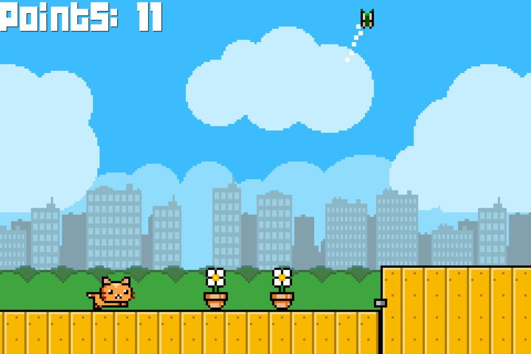 Inside Kitty’s Outside Adventure