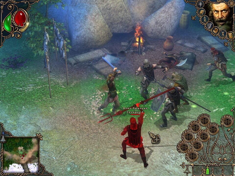 Wolfhound: The Last of the Grey Dogs