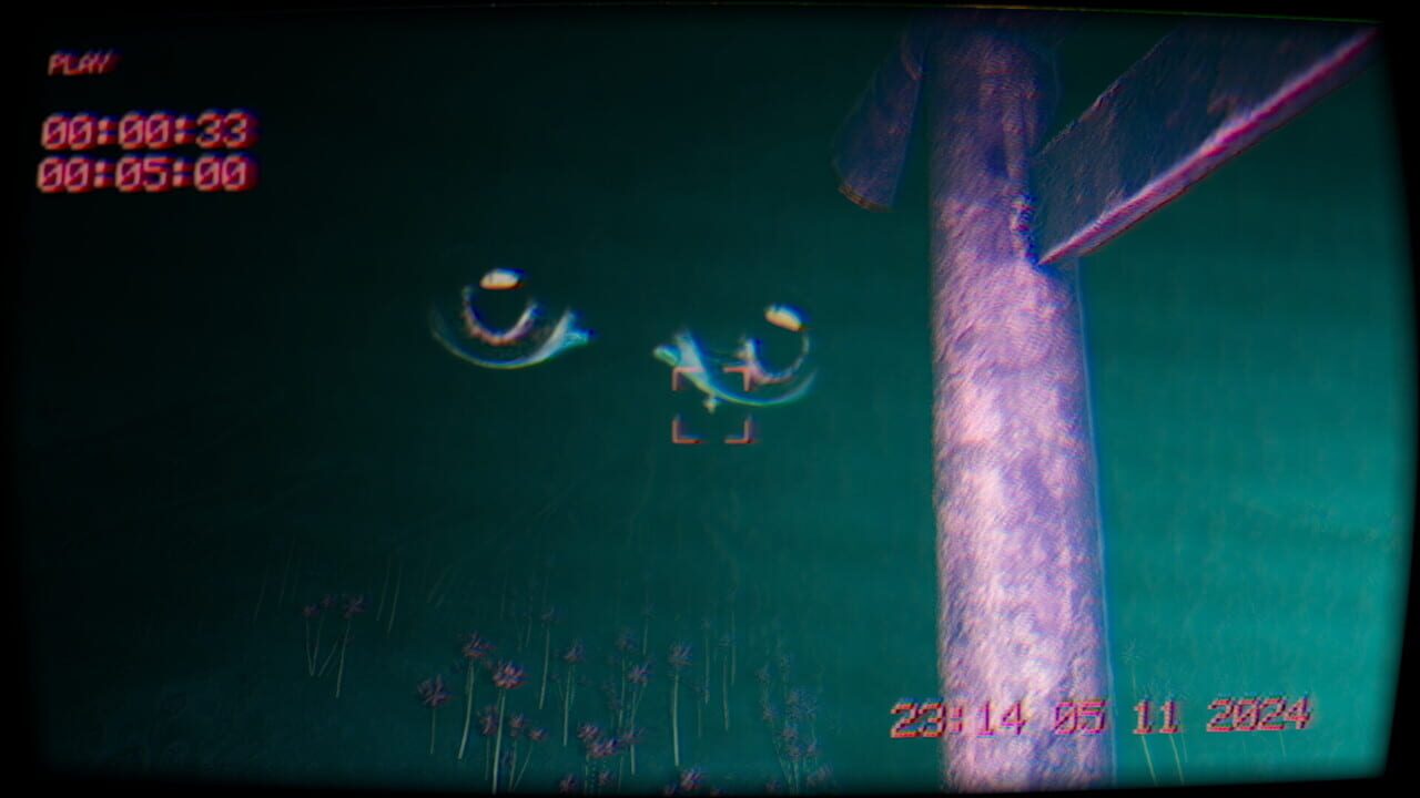 In the Footage