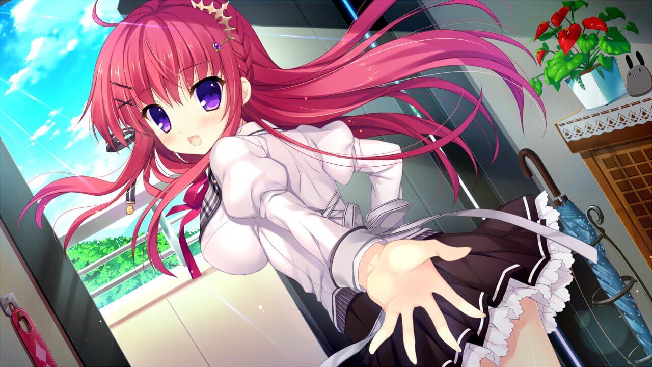 Alia’s Carnival! Flowering Sky