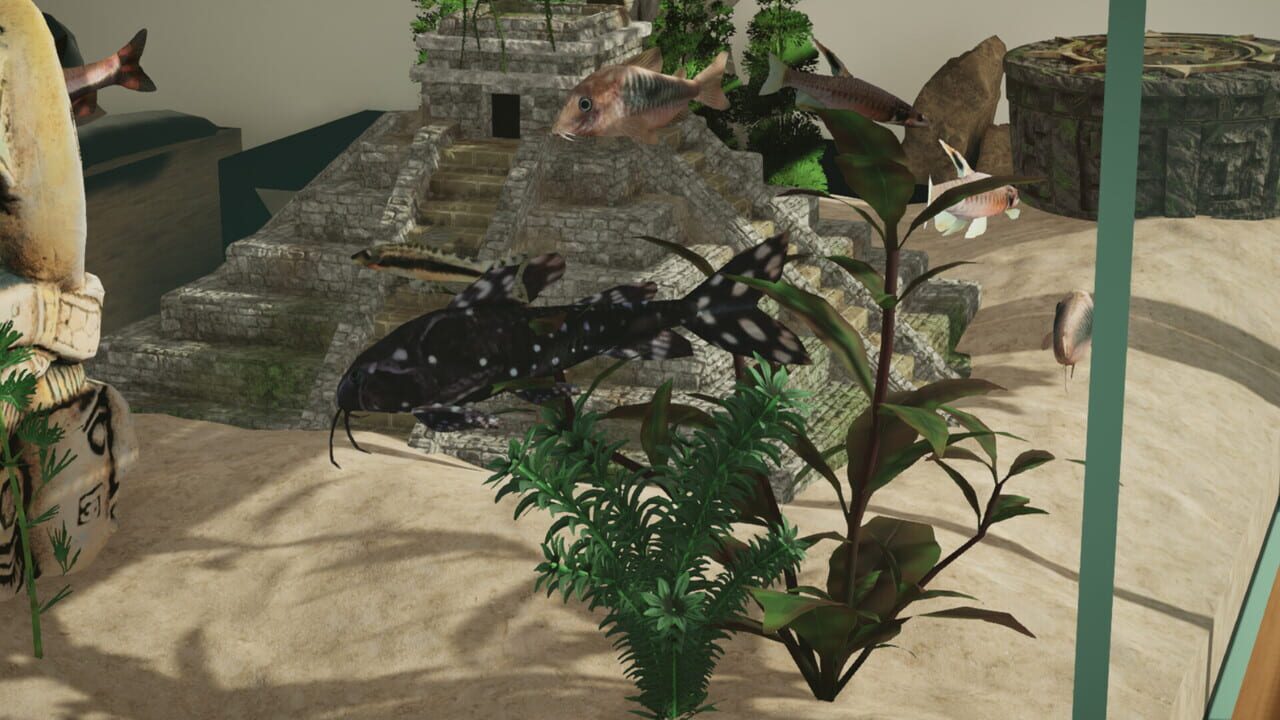 Aquarium Designer: Amazonia