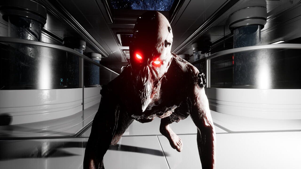 Space Entity