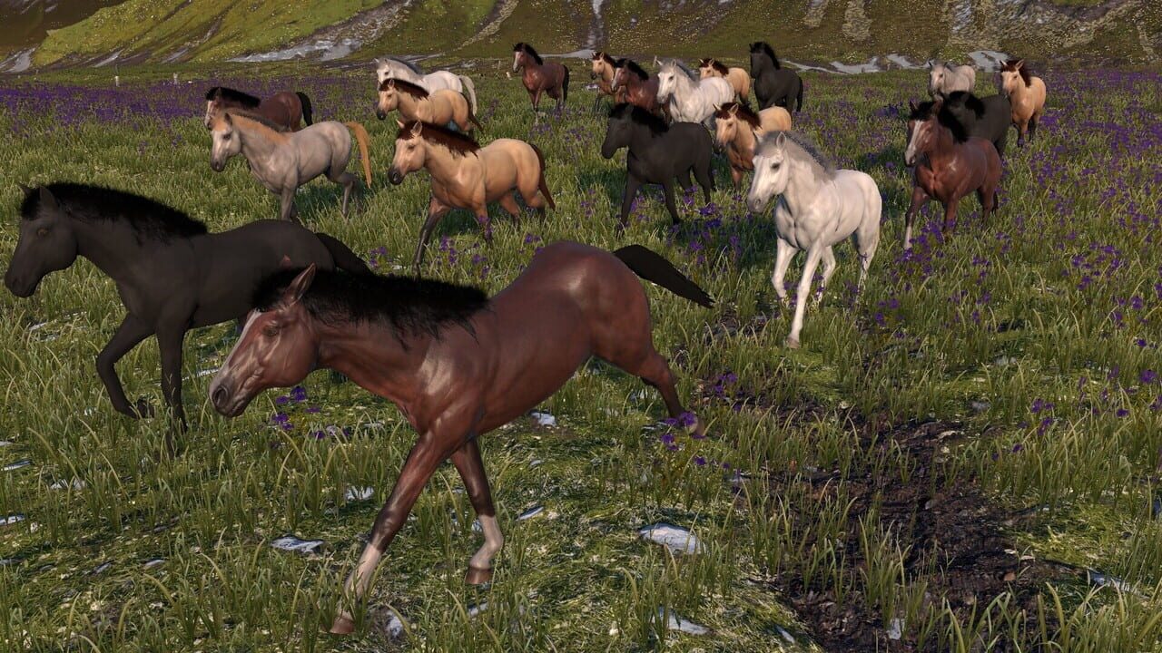 Horse Life: Find Horses in Open World, Survive in Wild Nature as a Foal or Pony