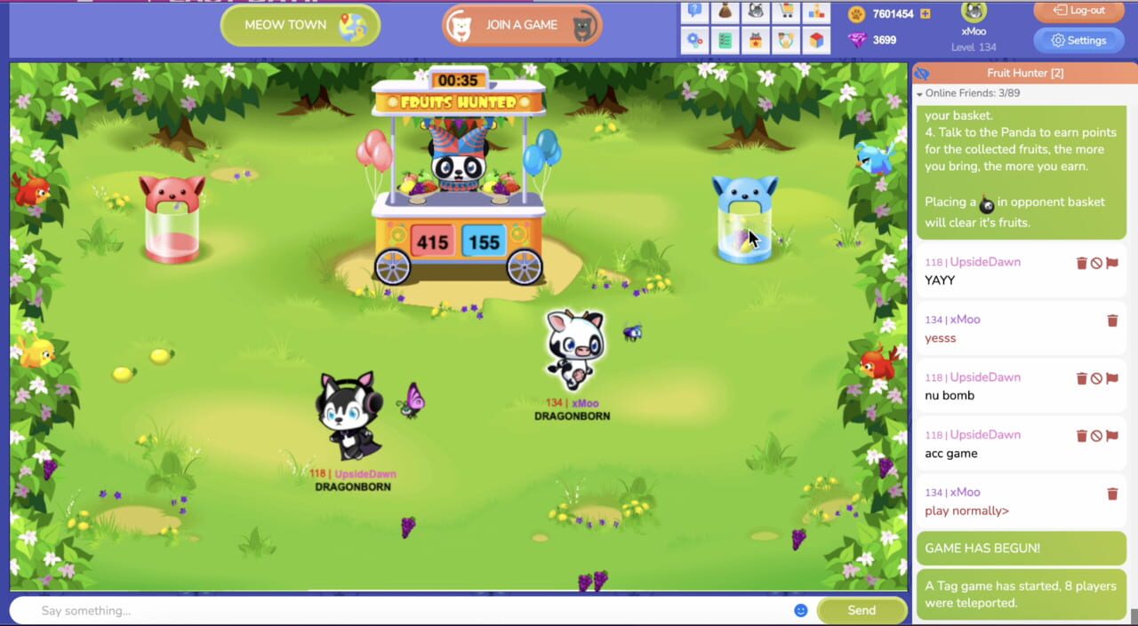 Meow Playground