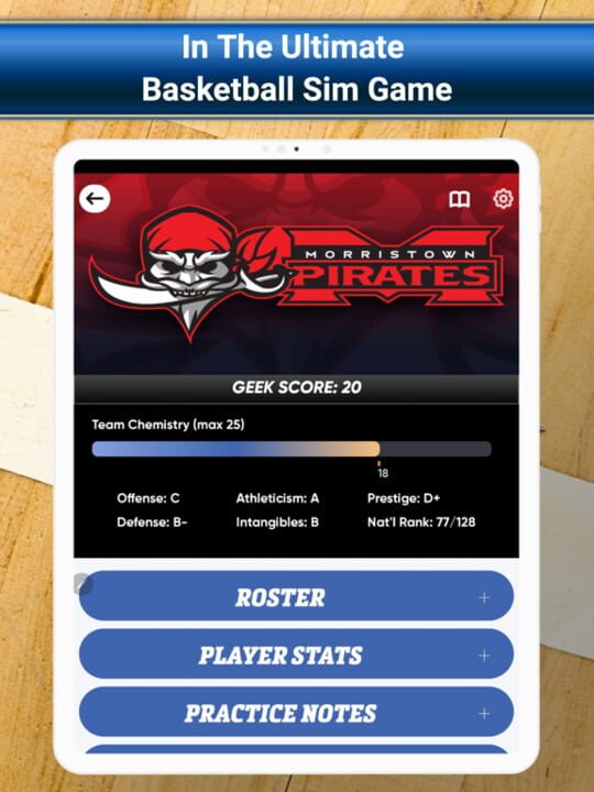 Basketball Simulator