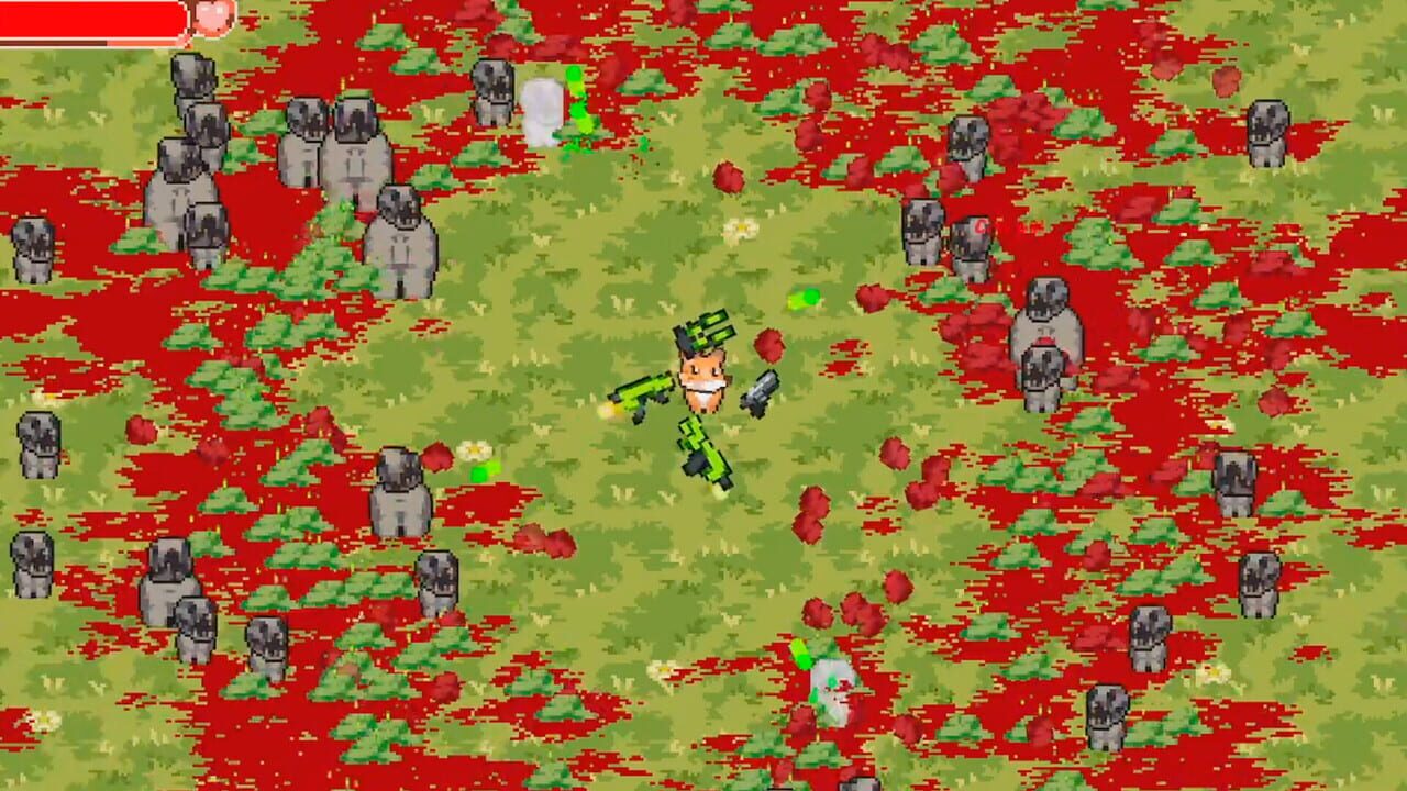 Cute Animals and Heavy Guns